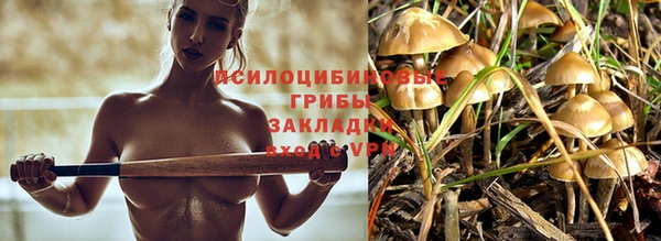 синтетический гашиш Абинск