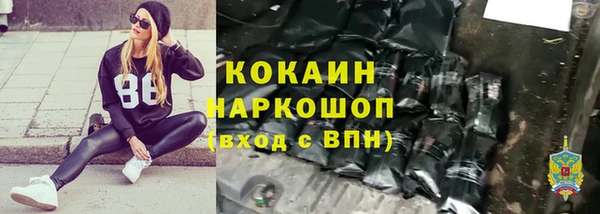 шишки Новодвинск