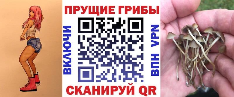 Псилоцибиновые грибы ЛСД  Алдан 
